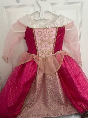 Disney R&M princess Aurora sleeping beauty Pink and Hot Pink Gown with Gold Trim